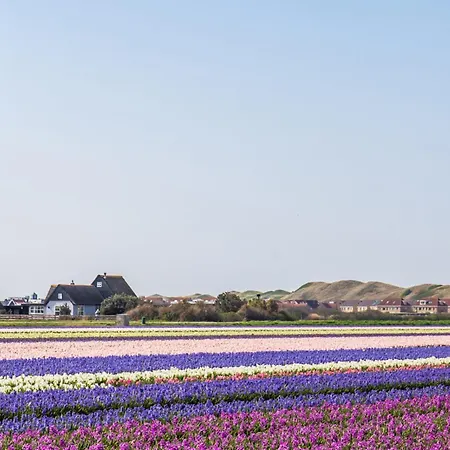 Appartement New! 06 - Aan De Duinen, Aan Zee *